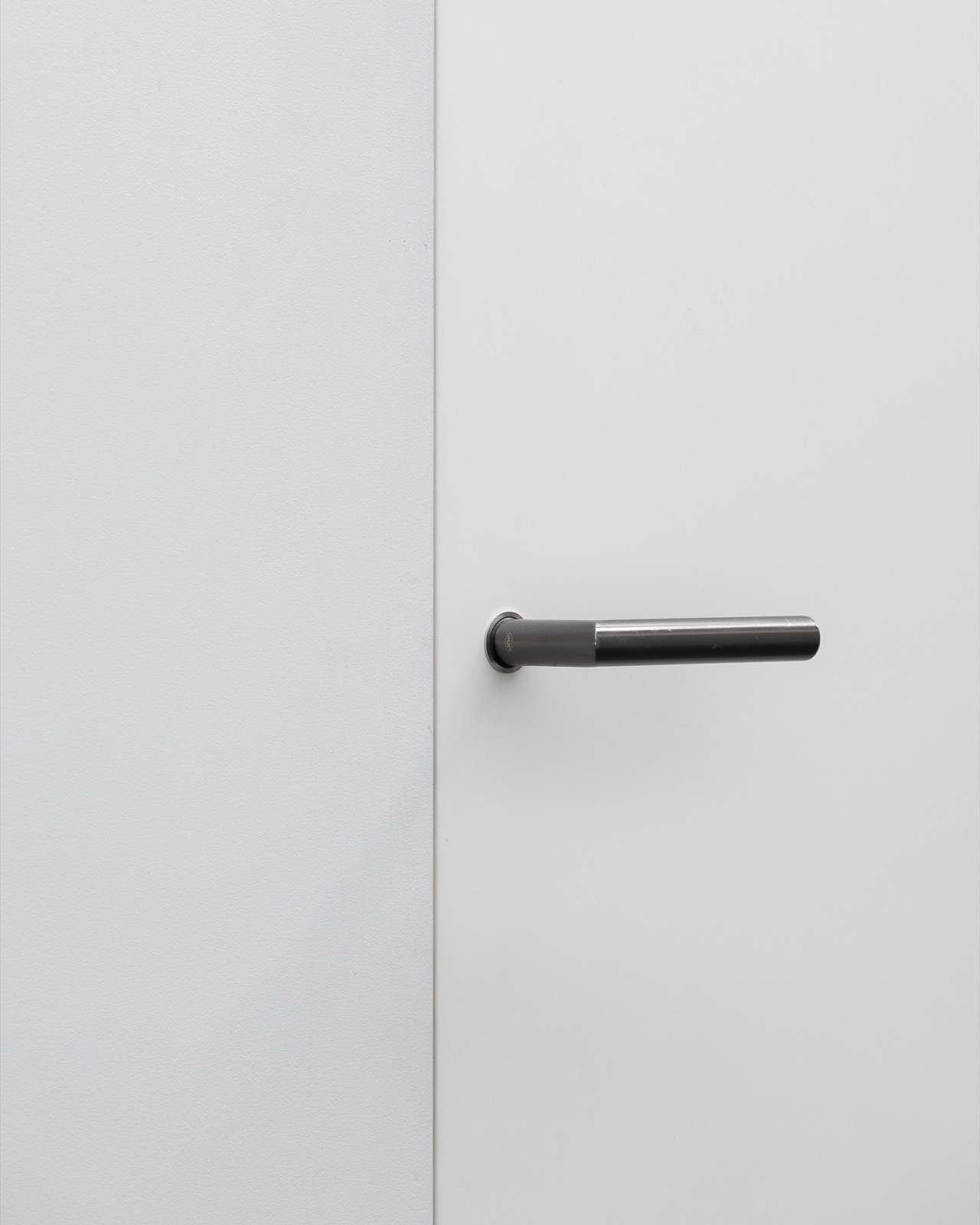 BSD Okultus integrated door