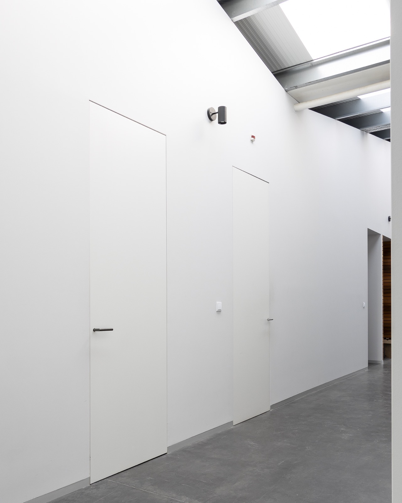 BSD Okultus architectural door